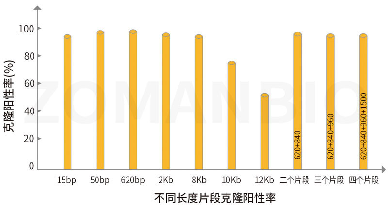 ZC231無縫克隆實驗數(shù)據(jù)圖.jpg