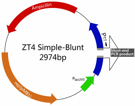 ZC208-16.jpg