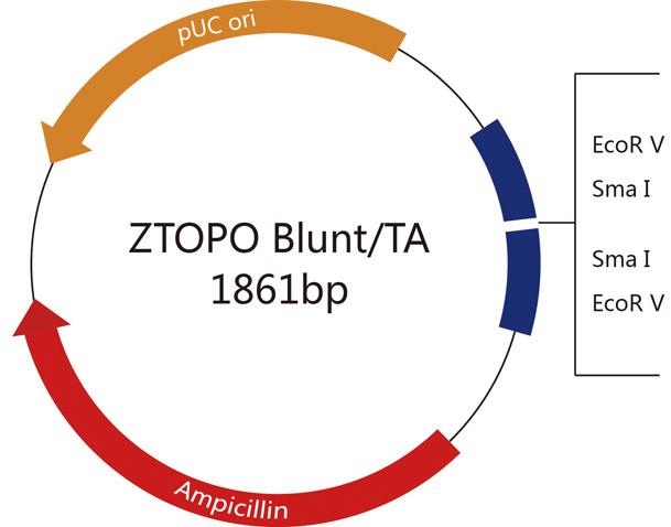 ZC211圖譜.jpg