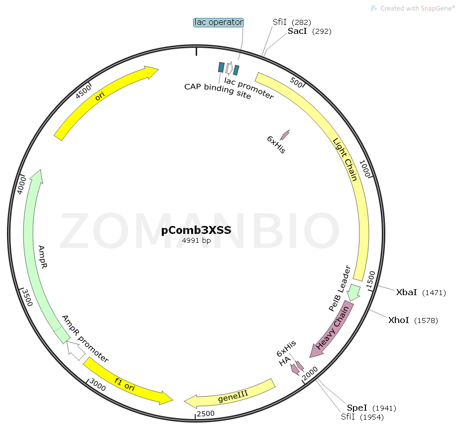 ZK129pComb3XSS.png