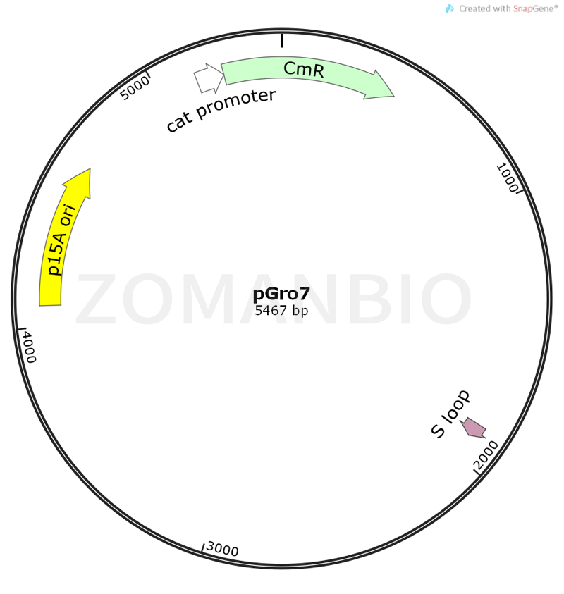 ZK330pGro7.png
