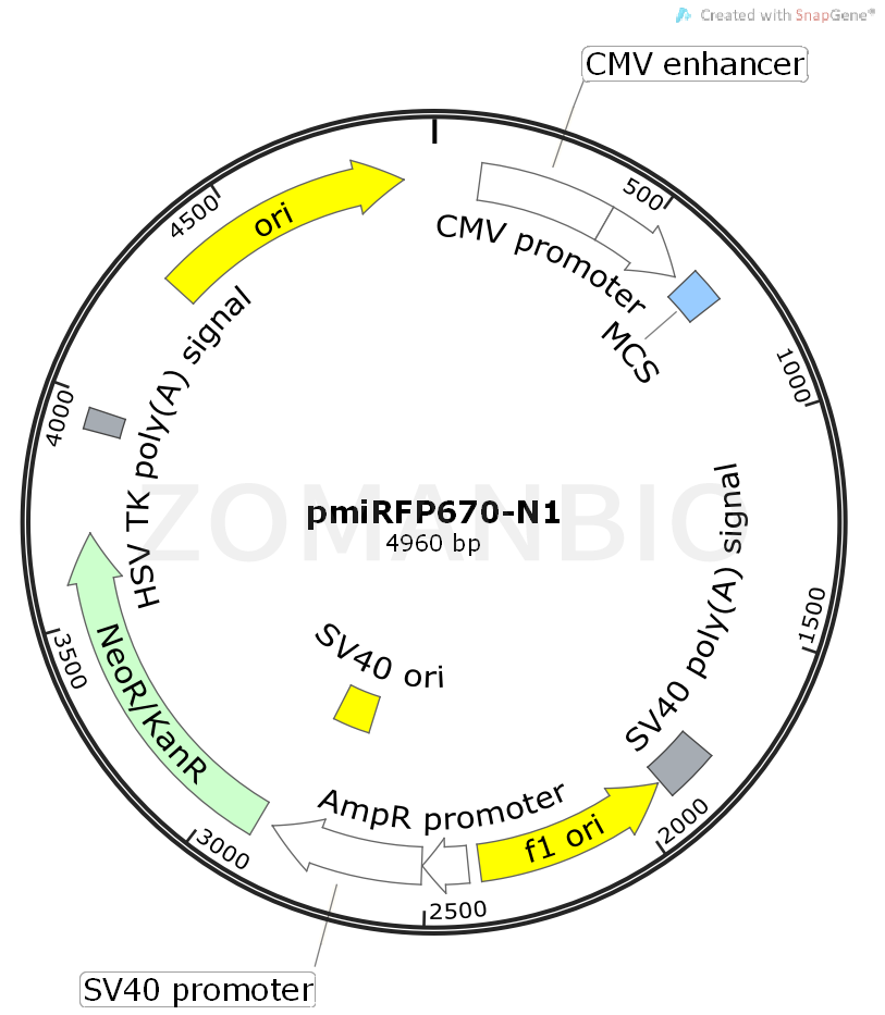 ZK450pmiRFP670-N1.png