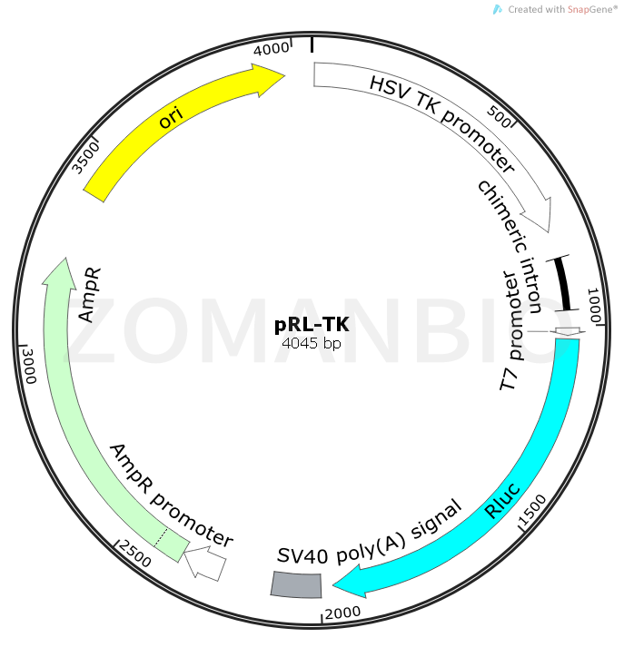 ZK487pRL-TK.png