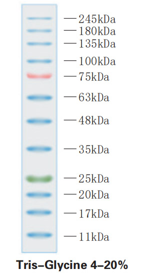 ZD114.jpg