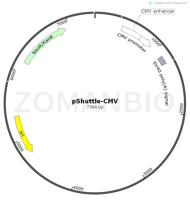 ZK724pShuttle-CMV.png