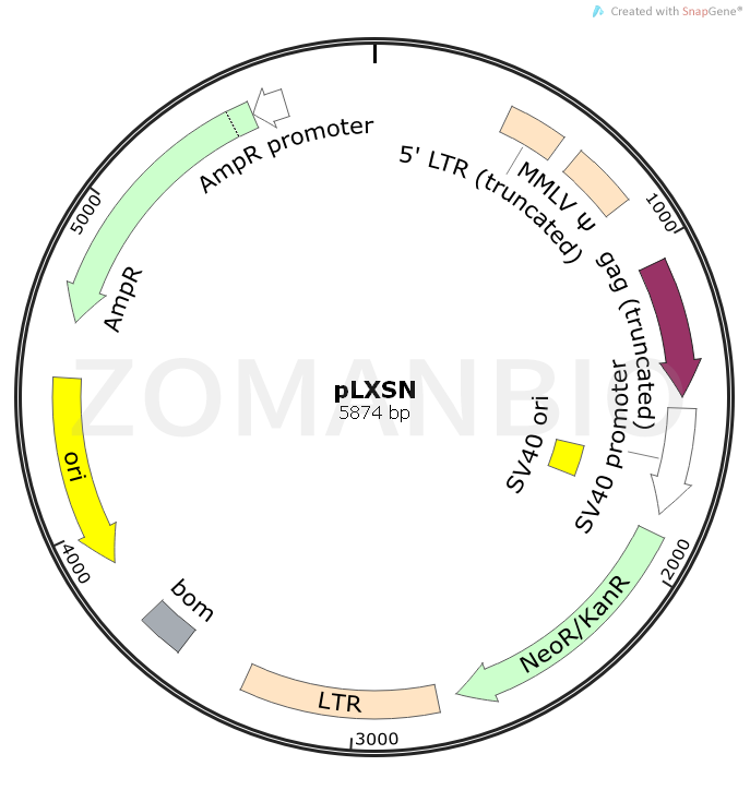 ZK747pLXSN.png