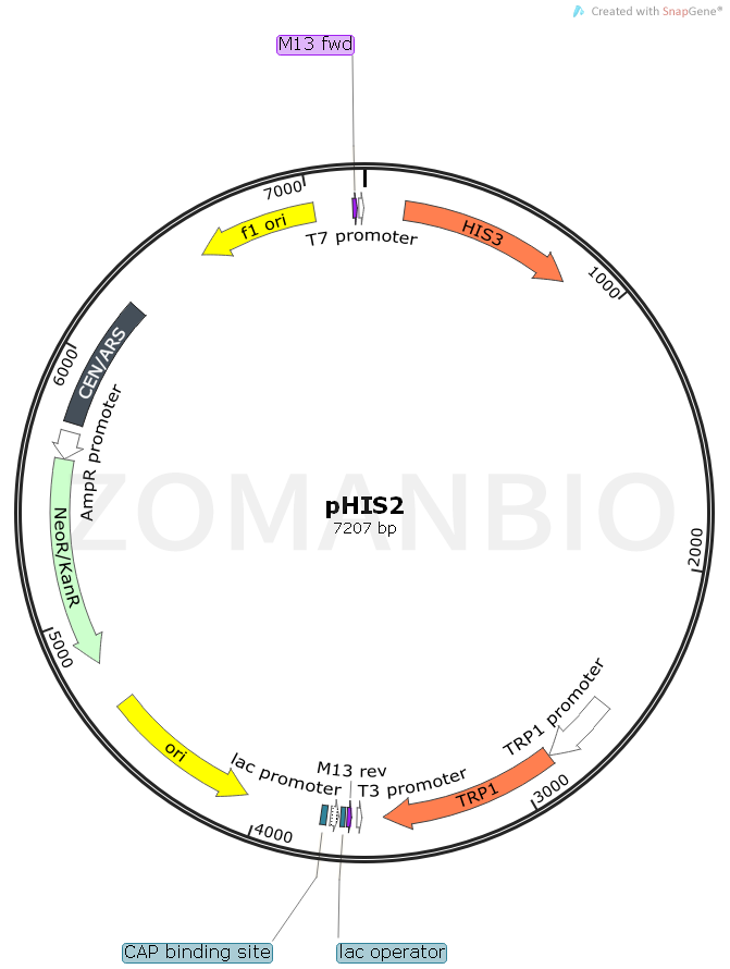 ZK971pHIS2.png