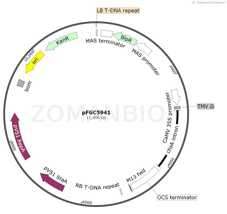 ZK911pFGC5941.png