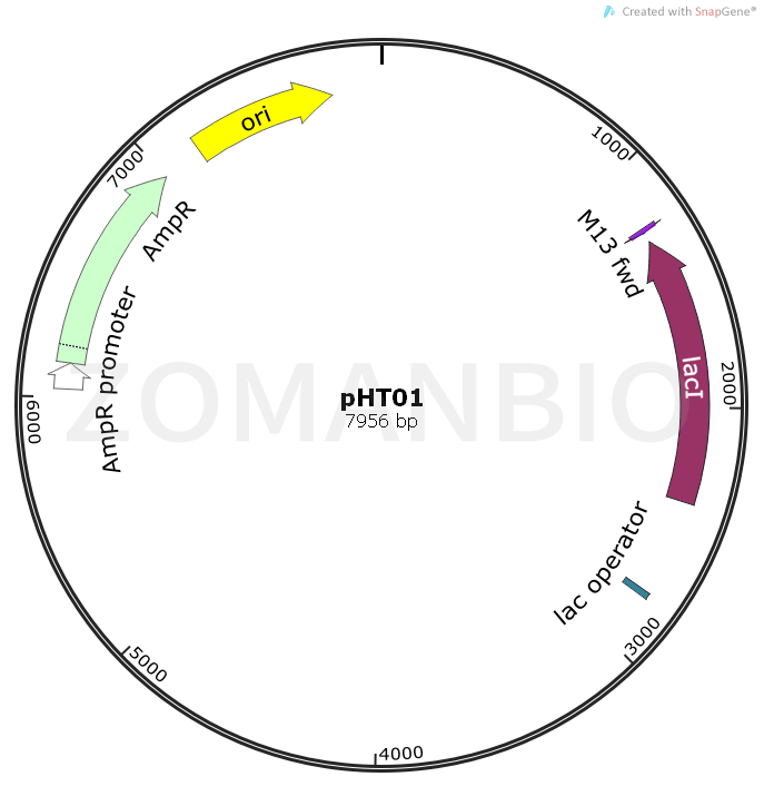 ZK1011pHT01.png