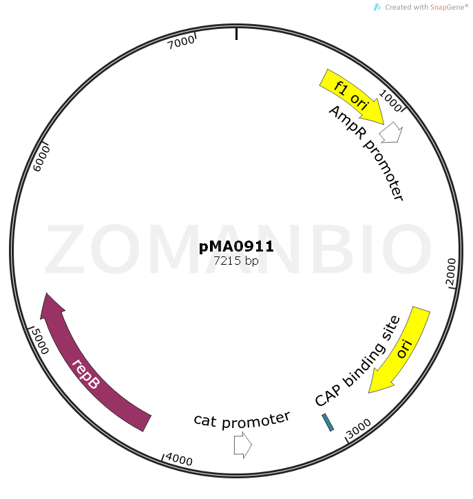 ZK1015pMA0911.png