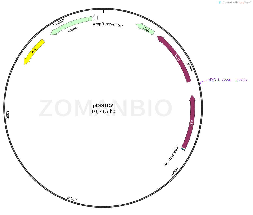 ZK1031pDGICZ.png