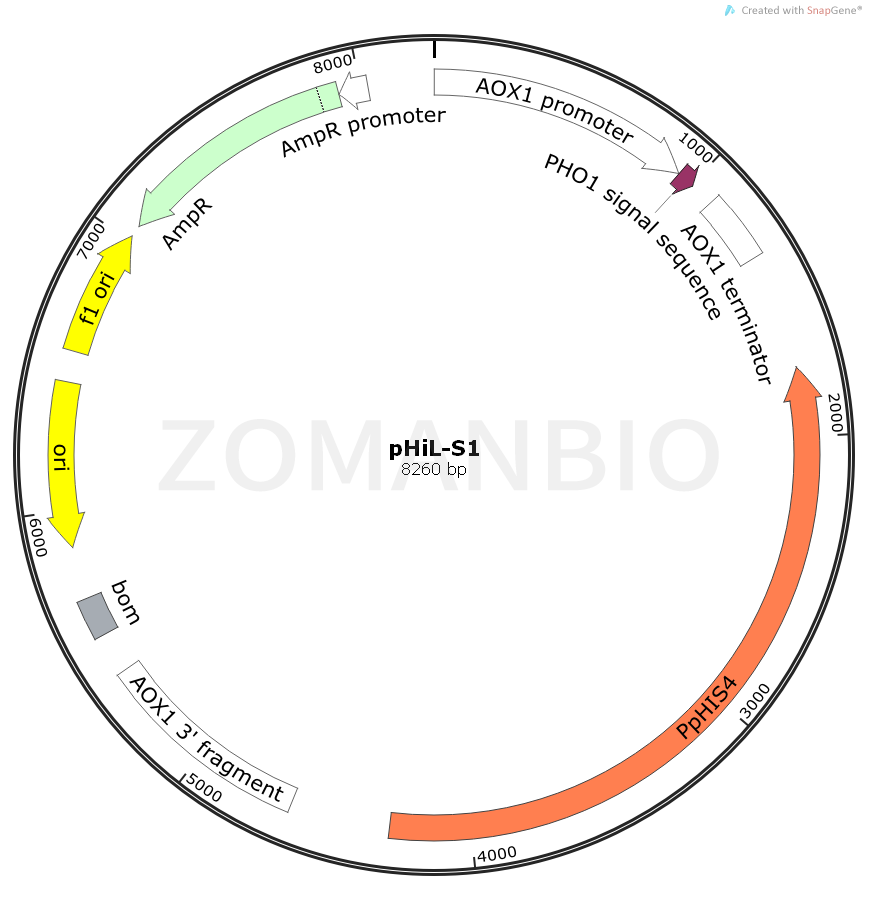 ZK939pHiL-S1.png