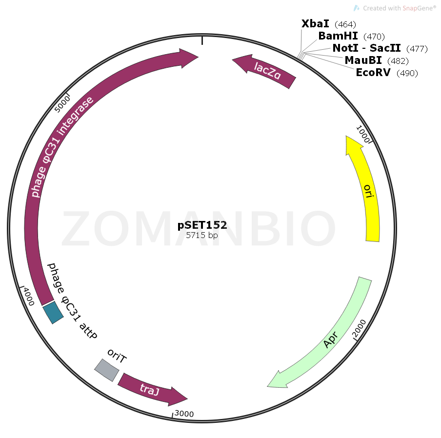 ZK1075pSET152①.png