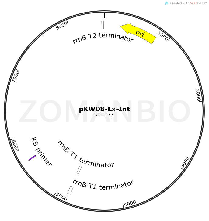 ZK1093pKW08-Lx-Int.png