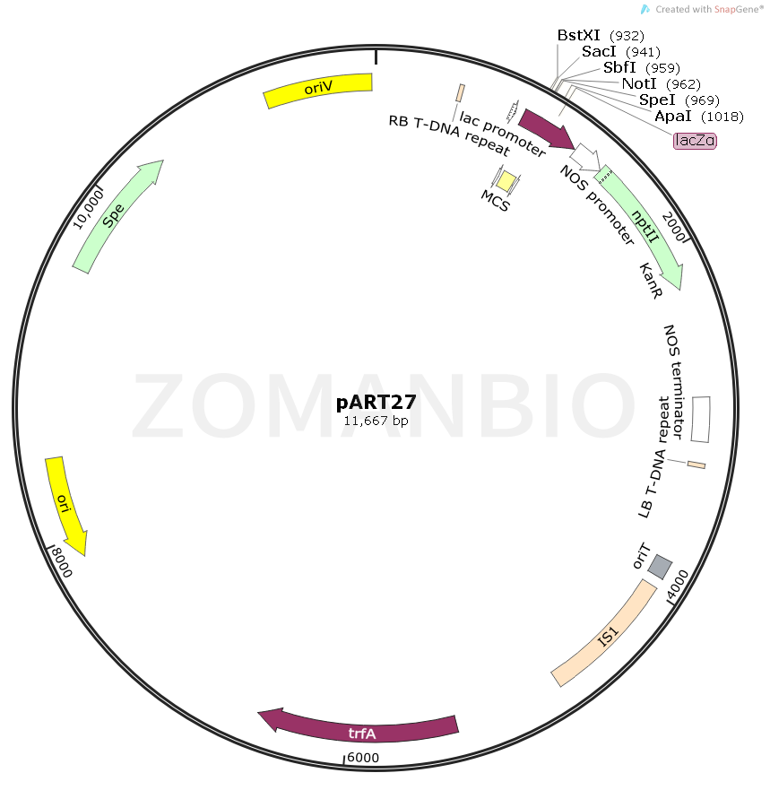 ZK1102pART27.png
