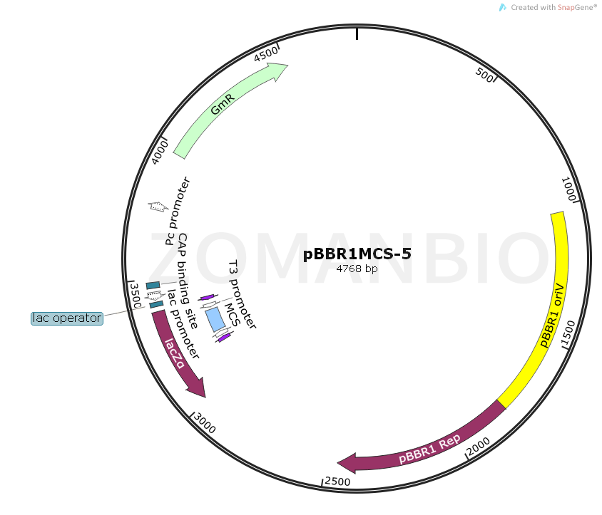 ZK1113pBBR1MCS-5.png