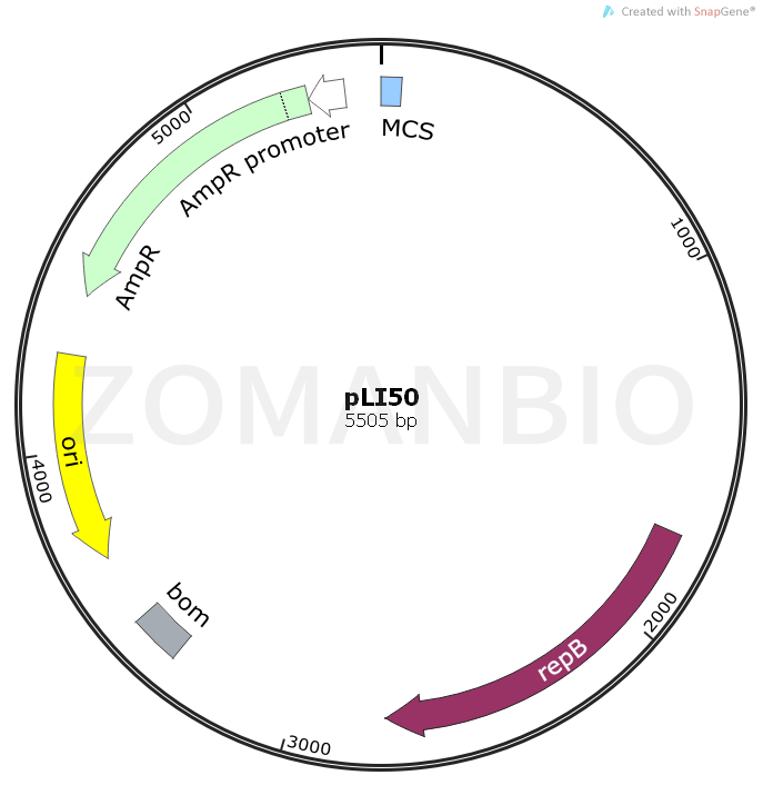 ZK1134pLI50.png