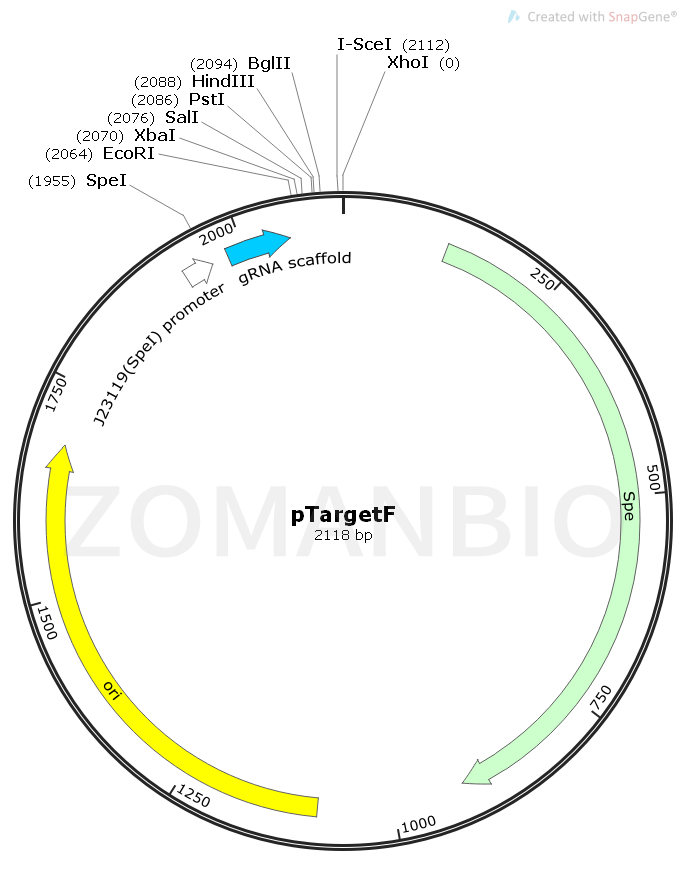 ZK1661 pTargetF.png