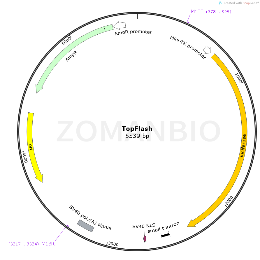 ZK1698 TopFlash.png