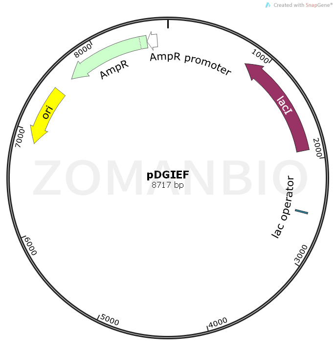 ZK1851 pDGIEF.png
