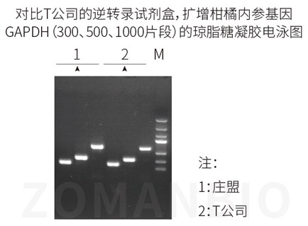 ZR108圖2.jpg