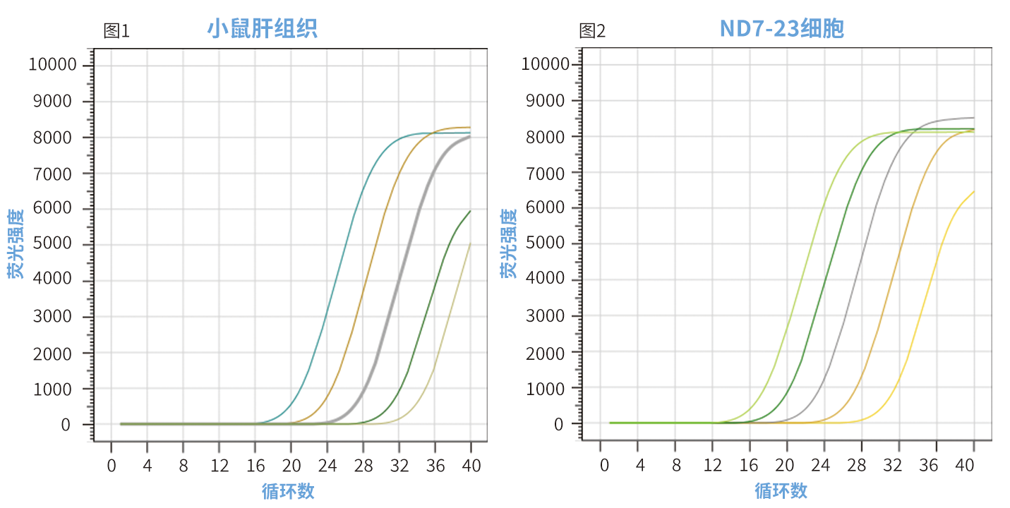 ZP442-3.png