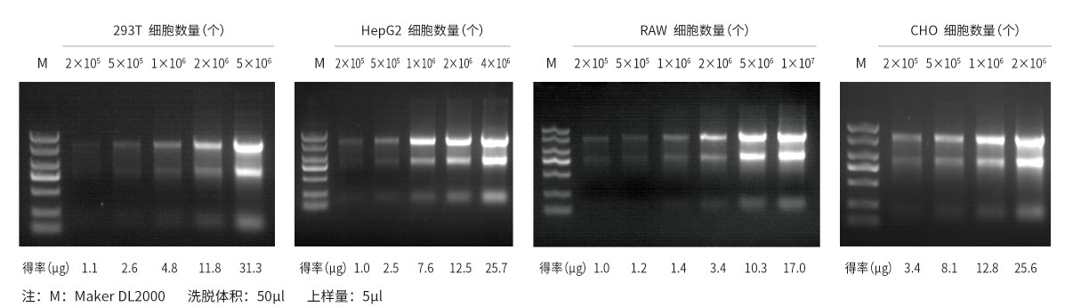 c44f794d-1a54-4b51-8ba2-845c50af1adf.png