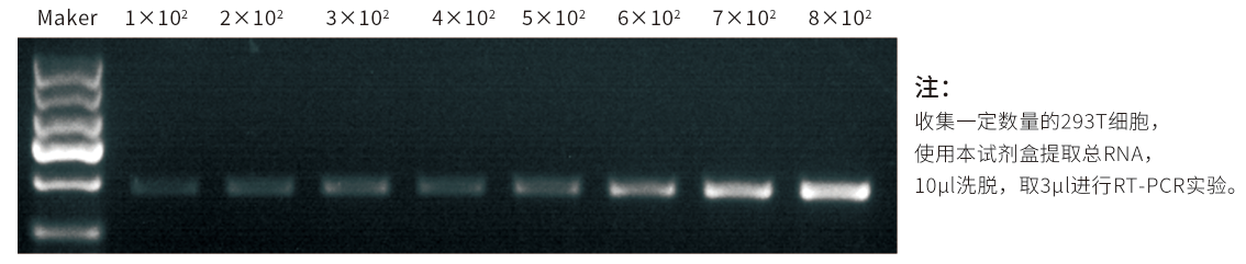 2e5d7900-a5f3-420a-9a02-072a73858770.png