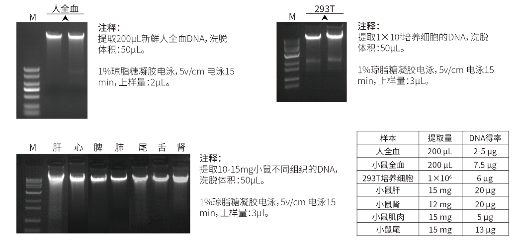 0212254c-ad93-482b-8094-a330fa323201.png