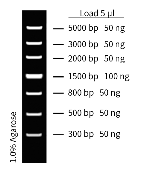 ZM103-1.png