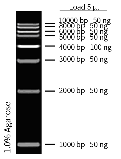 ZM301-1.png