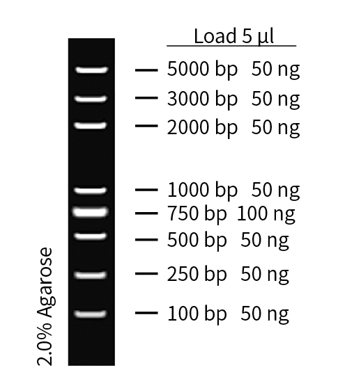 ZM405-1.png
