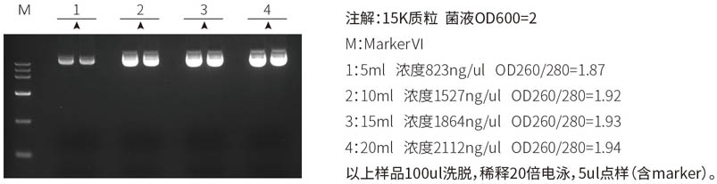 17.9.30質粒小提中量.jpg
