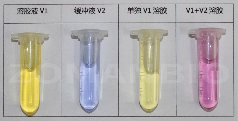 21年1月--ZPV202彩色指示圖.jpg
