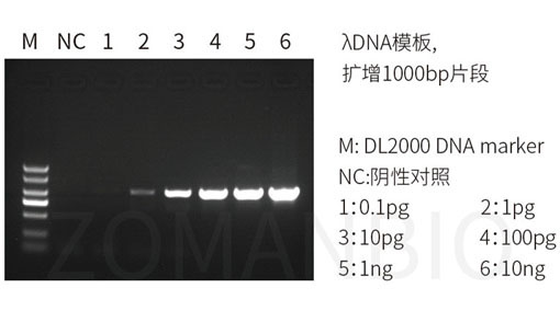 22.9 高保真酶圖3.jpg